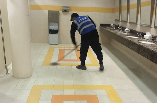 Professional Fighters League (PFL)